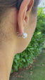 Cultured Pearl & Diamond Earrings, Hallmark Edinburgh 2008